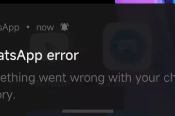 Mengatasi WhatsApp Error: 8 Cara Praktis